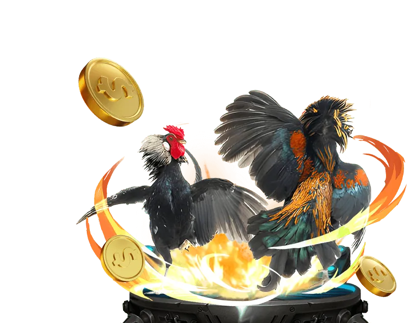 Hoàn Trả Hàng Ngày five88